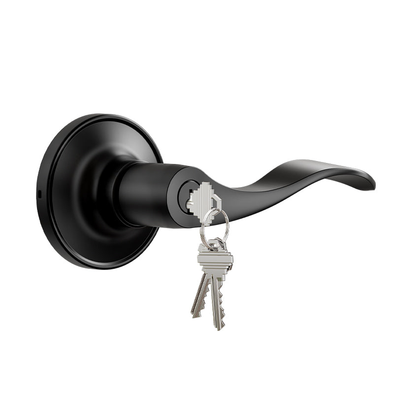 Veise H01-C Entry Door Lever – Matte Black / H01-C (1 Pack)