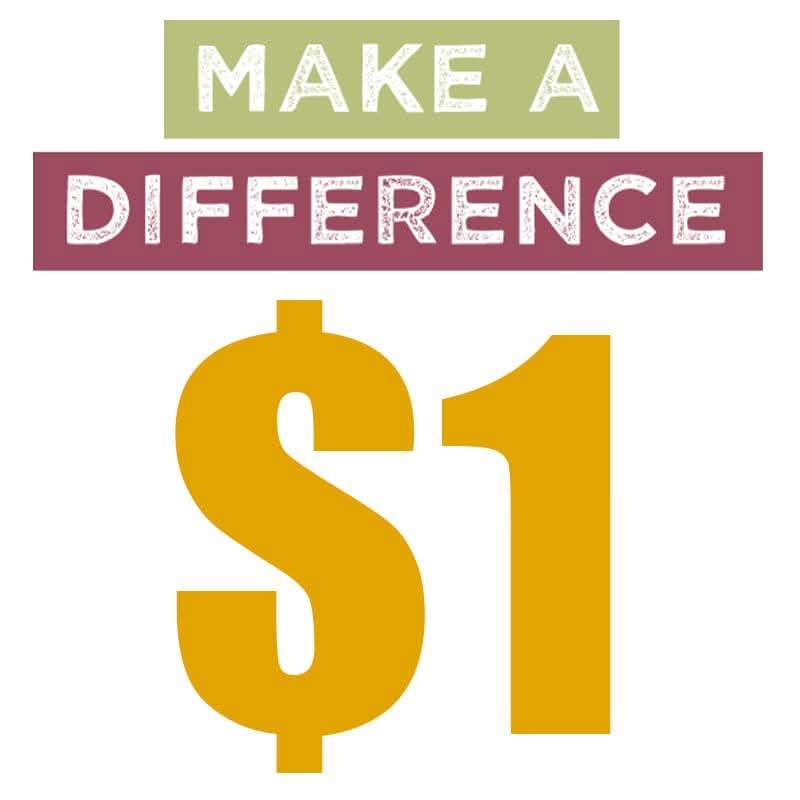 Fosi Audio Make Up the Price Difference of $1 – $10