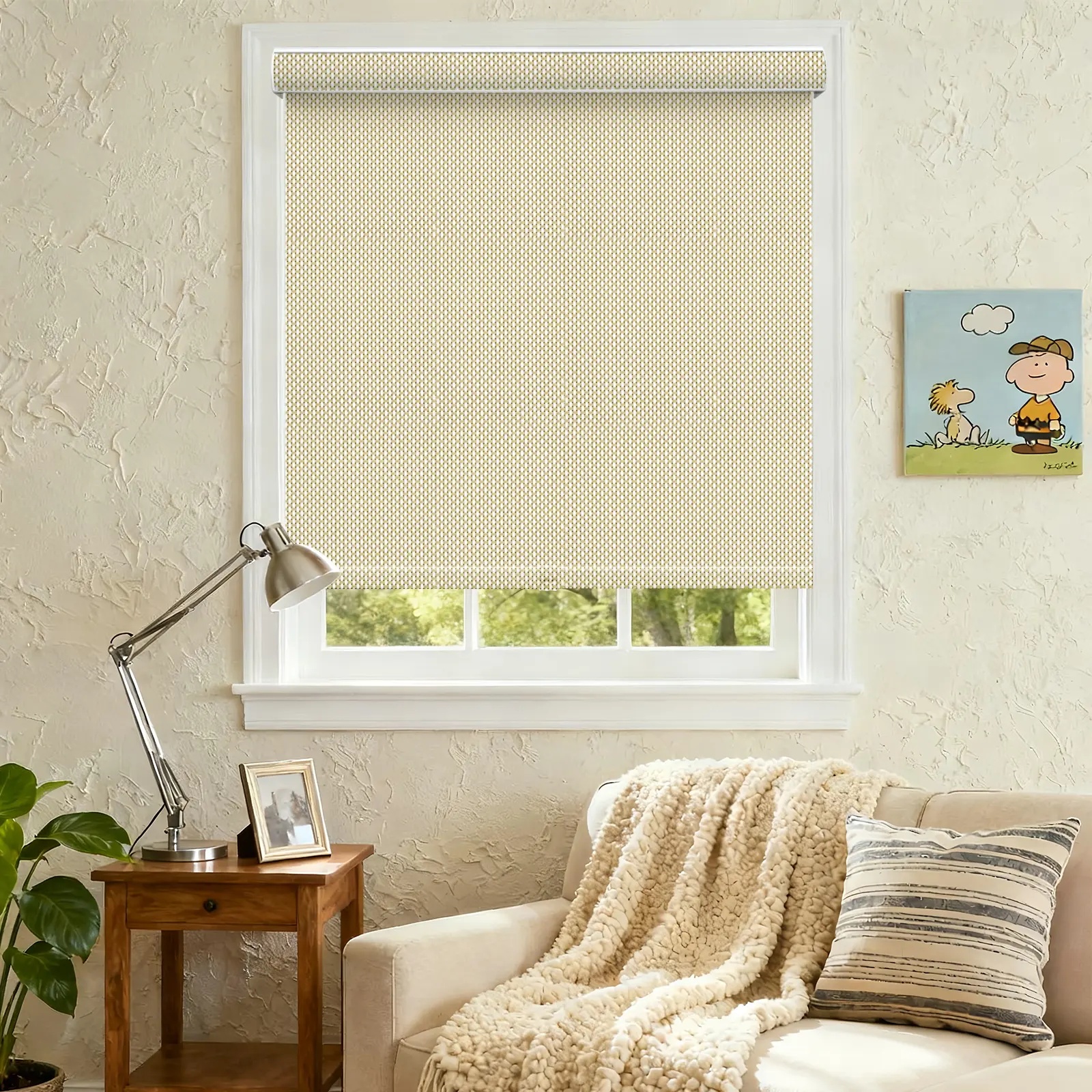A113 Filter Curved Cassette Roller Shade