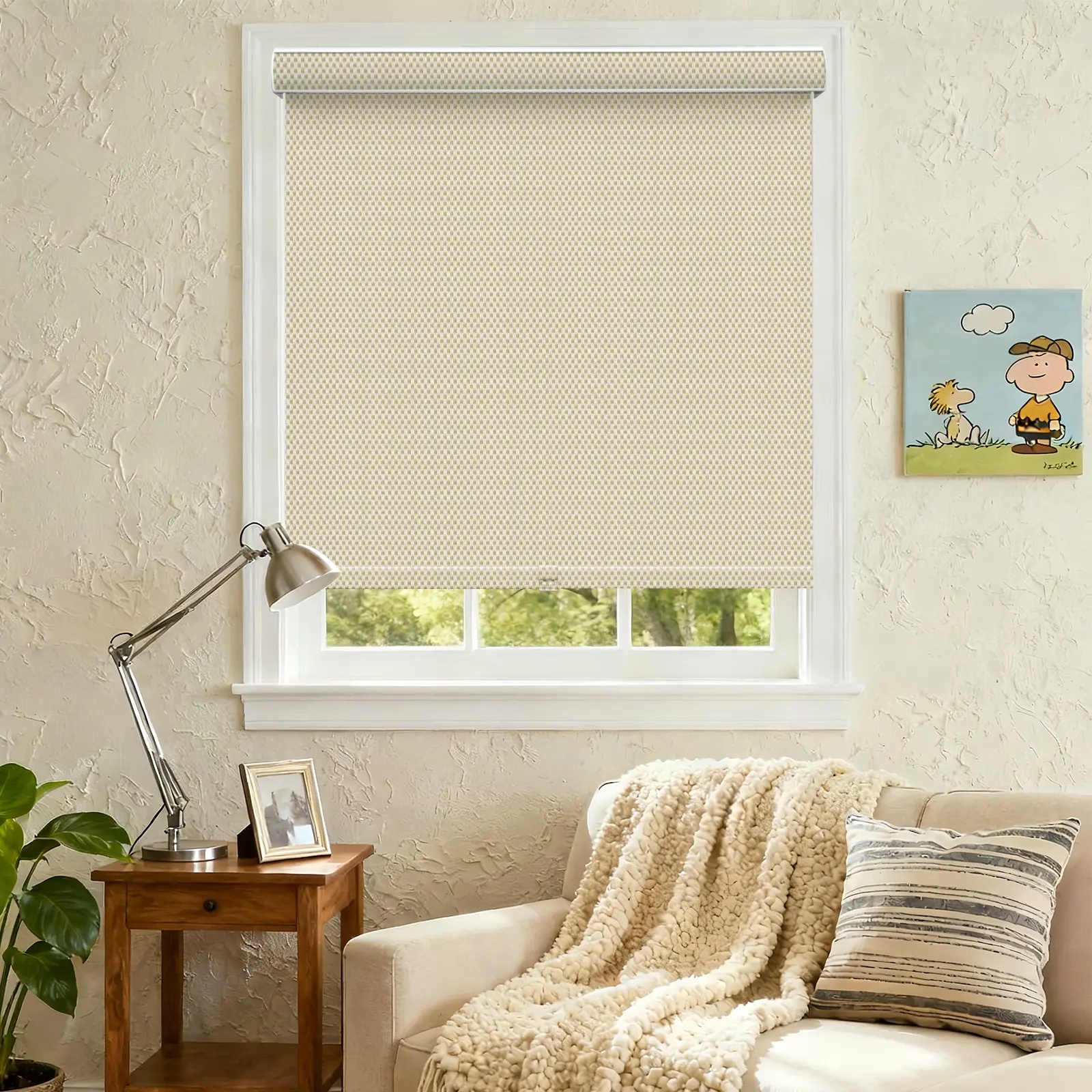 A117 Filter Curved Cassette Roller Shade