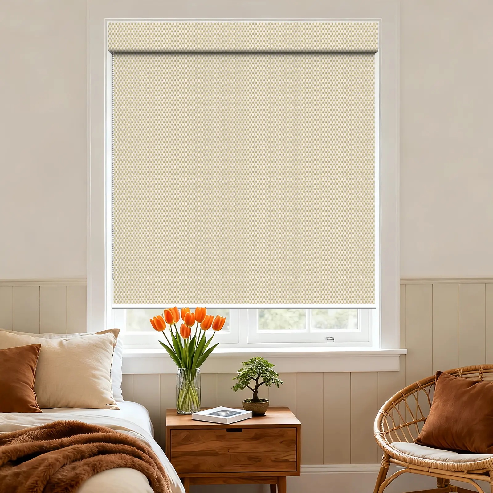 A117 Filter Square Hood Roller Shade