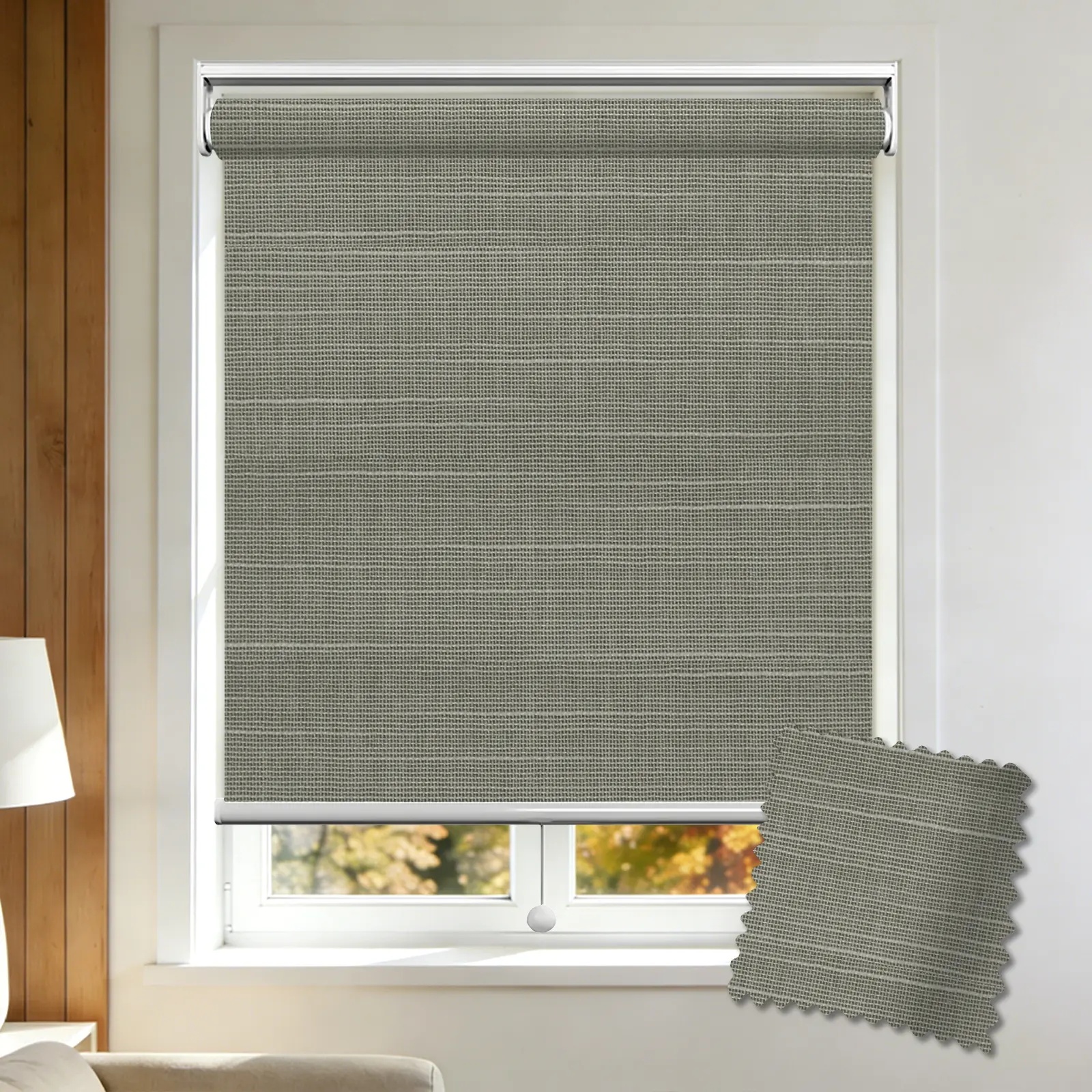 Sky Filter Spring Roller Shade