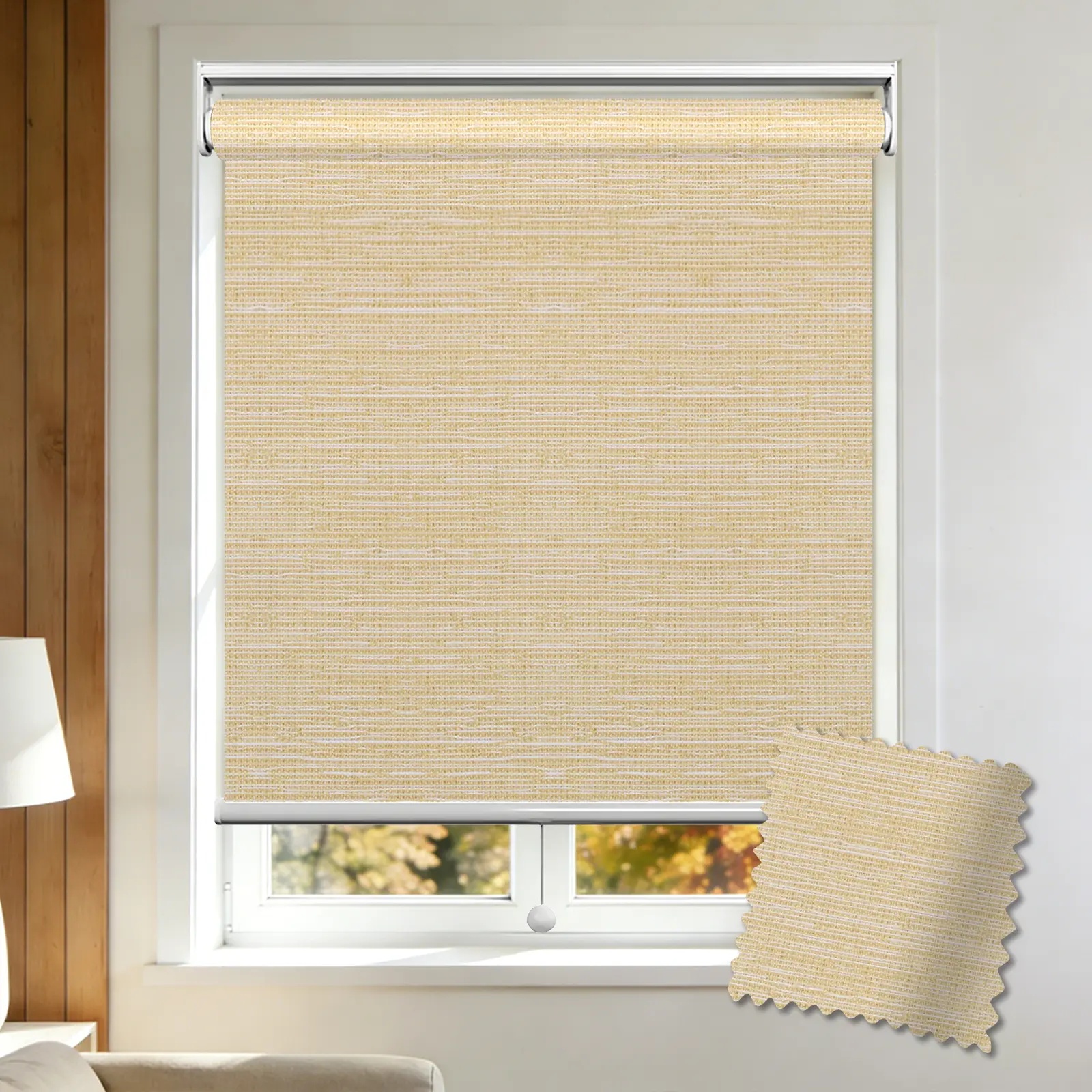 Cloud Filter Spring Roller Shade