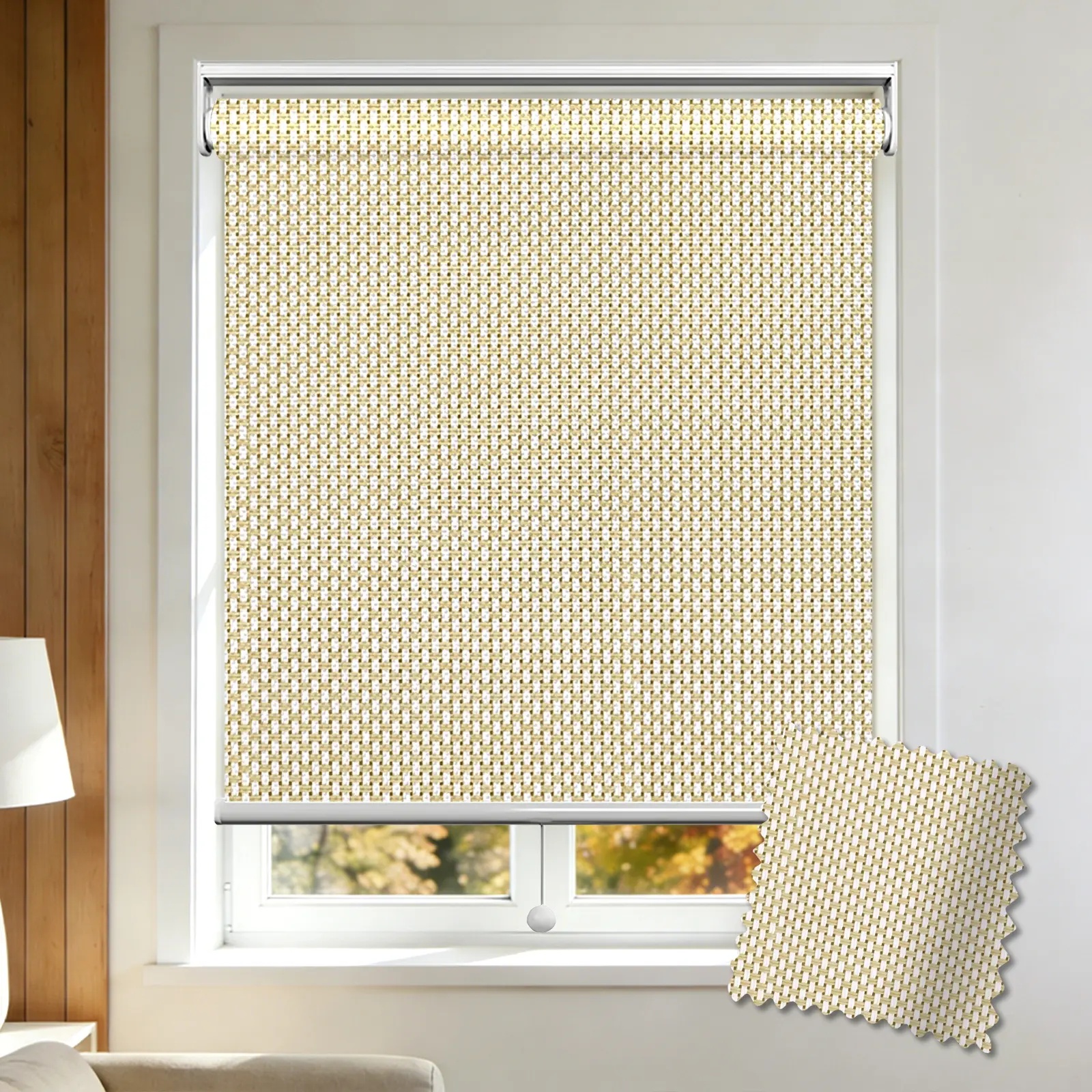 Plain Filter Spring Roller Shade