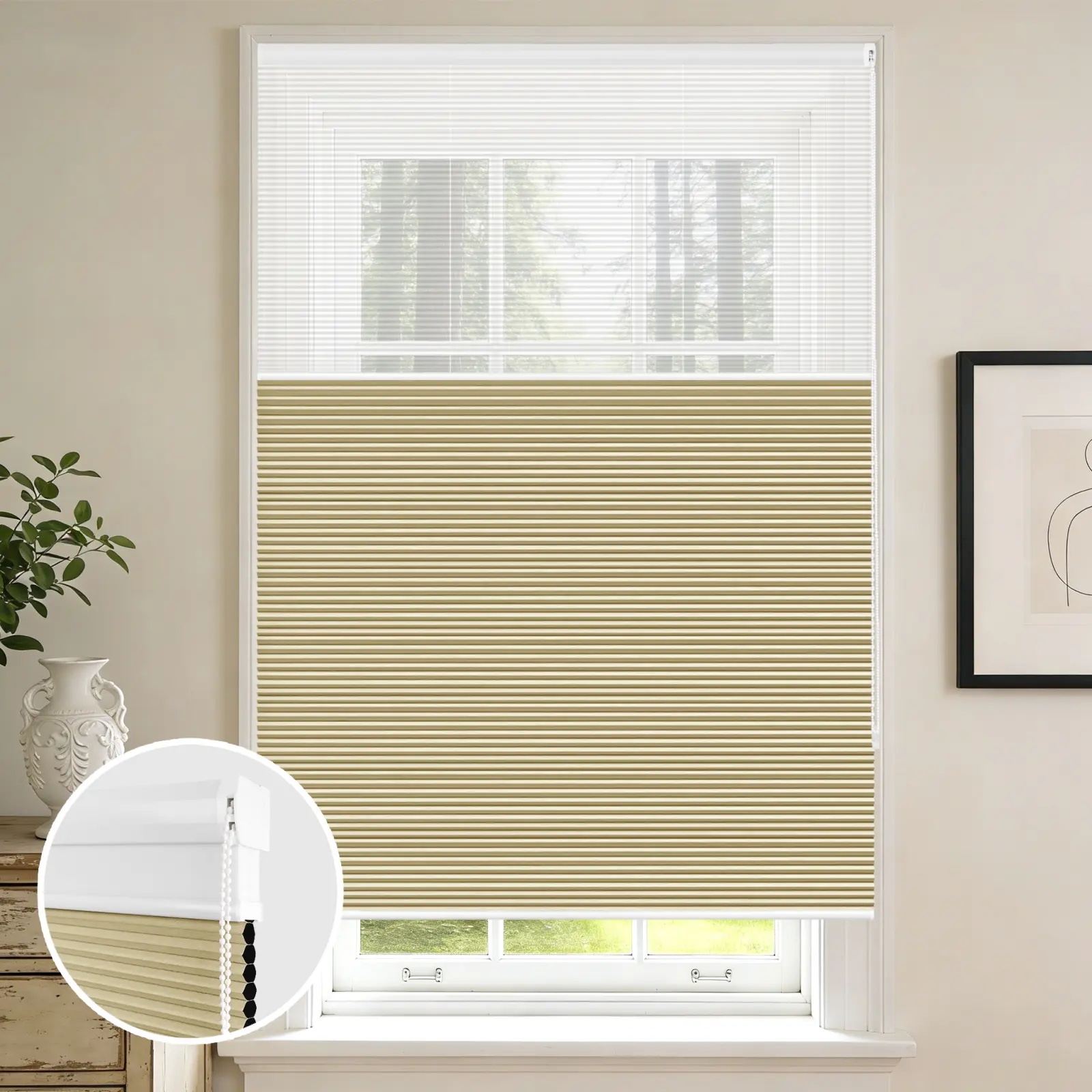 Corded Day  Night Cellular Shades – Arch Design